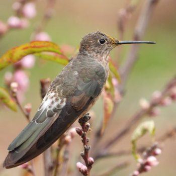 Imagen-de-WhatsApp-2023-08-29-a-las-02.01.3511