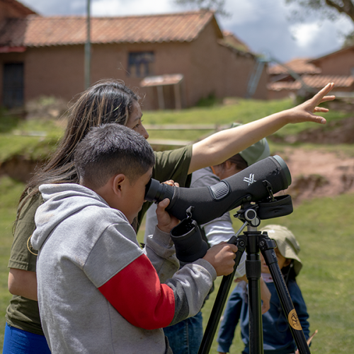 Manejo de equipos Vortex